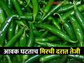 Green Chilli Market आवक घटताच मिरची दरात तेजी; वाचा मिरचीचे बाजारभाव - Marathi News | Green Chilli Market Chilli prices rise as arrivals fall; Read the market price of chillies | Latest agriculture News at Lokmat.com