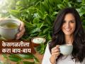 एक नंबर! केसांसाठी ग्रीन टी 'वरदान'; गळणं थांबेल अन् चमत्कार दिसेल, फक्त 'असा' करा वापर - Marathi News | green tea benefits for hair growth healthy strong shiny hair care tips | Latest sakhi Photos at Lokmat.com