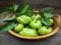 अनेकांना माहीत नसतील पेरूच्या पानांचे 'हे' आरोग्यादायी फायदे! - Marathi News | Healthy benefits of guava leaves or peruchi paana | Latest health News at Lokmat.com