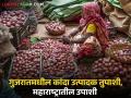गुजरातच्या कांदा उत्पादक शेतकऱ्यांना प्रति क्विंटल 200 रुपये अनुदान, महाराष्ट्रातील शेतकऱ्यांना काय? - Marathi News | Latest News Subsidy of Rs 200 per quintal to onion farmers of Gujarat, what about farmers in Maharashtra | Latest agriculture News at Lokmat.com