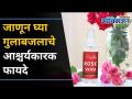 त्वचेसाठी आणि केसांसाठी गुलाब जलाचे हे आहेत फायदे | Beauty Benefits of Rose Water | Lokmat Oxygen - Marathi News | These are the benefits of rose water for skin and hair Beauty Benefits of Rose Water | Lokmat Oxygen | Latest oxygen Videos at Lokmat.com