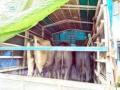 गुरांची वाहतूक; दोघांना अटक, फोंडाघाट येथील घटना - Marathi News | Transport of cattle; Two arrested in Fondaghat: Two-day police custody | Latest sindhudurga News at Lokmat.com