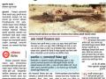 चारा छावणी सुरू करण्याच्या हालचाली      - Marathi News | Movement of fodder camp in Buldhana | Latest buldhana News at Lokmat.com