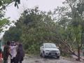 Heavy Rain: बारामतीला वादळी पावसाने झोडपले; शहरातील अनेक भागात झाडे पडली - Marathi News | Heavy Rain: Heavy rains lash Baramati; Trees fell in many parts of the city | Latest pune News at Lokmat.com