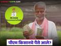 पीएम किसानच्या 21 वा हफ्त्याचे पैसे आले का? दोन मिनिटांत असं करा चेक, वाचा सविस्तर  - Marathi News | Latest News Pm Kisan Hafta money for 21st installment of PM Kisan Check in two minutes, read in detail | Latest agriculture News at Lokmat.com