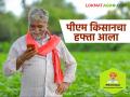 PM Kisan Hafta : पीएम किसानचा २० वा हफ्ता आला, तुमच्या खात्यात आले का नाही, असे चेक करा?  - Marathi News | Latest News Pm Kisan hafta PM Kisan 20th installment deposited in farmer's bank account | Latest agriculture News at Lokmat.com