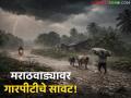 Hailstorm Alert in Marathwada : मराठवाड्यावर गारपीटीचे सावट; 'या' ५ जिल्ह्यांना पुढील ४८ तास धोक्याचे वाचा सविस्तर - Marathi News | latest news Hailstorm Alert in Marathwada: Hailstorm in Marathwada; These 5 districts are at risk for the next 48 hours. Read in detail | Latest agriculture News at Lokmat.com