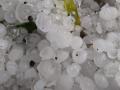 अमरावती : गारपिटीने संत्रा उत्पादकांना 200 कोटी रुपयांचा फटका - Marathi News | Amravati: Hailstorm hit 200 million rupees for orange growers | Latest amravati News at Lokmat.com