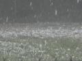 विदर्भात मेघगर्जनेसह गारांच्या पावसाचा इशारा! - Marathi News |  Hailstorm with thunderstorms in Vidarbha! | Latest akola News at Lokmat.com