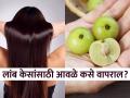लांब- दाट आणि काळे केस मिळवण्यासाठी दोन आवळ्यांचा रोज 'असा' करा उपयाेग, मग बघा कमाल! - Marathi News | How to use amla for fast hair growth and black hair | Latest sakhi News at Lokmat.com