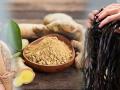 Hair Care : आल्याचा फक्कड चहा प्या आणि मग आलं केसालाही लावा, असा करा वापर! - Marathi News | Hair Care: Apply ginger on your hair. Ginger is very useful for long and strong hair | Latest sakhi News at Lokmat.com