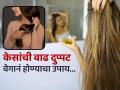 केसांना वाढच नाही? खोबऱ्याच्या तेलात 'हे' तेल मिसळून लावा, केस वाढतील भराभरा - Marathi News | How Castor Oil Work In Your Hair | Latest sakhi News at Lokmat.com