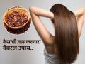 केस लांब- दाट आणि मजबूत करतात अळशीच्या बिया, खर्च १० रुपये-पाहा लावण्याची योग्य पद्धत! - Marathi News | How to use flaxseed for strong and shiny hair | Latest sakhi News at Lokmat.com