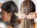Hair Care Tips : केस मजबूत, मुलायम होण्यासाठी ५ मिनीटांत करा झटपट हेअरमास्क, महिन्याभरात दिसेल फरक - Marathi News | Hair Care Tips: Install Hair Mask In 5 Minutes To Strengthen Hair | Latest sakhi News at Lokmat.com