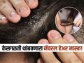 केसगळतीही थांबेल आणि कोंडाही होईल दूर, जावेद हबीबनं सांगितला एक खास हेअर मास्क! - Marathi News | Javed Habib tells remedy for stop hair fall and clean dandruff | Latest sakhi News at Lokmat.com