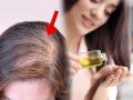 लांब - दाट केसांसाठी ७ प्रकारचे तेल; ऑनलाइन विशेष बजेटफ्रेंडली ऑफर्स - Marathi News | 7 types of oils for long and thick hair; Online Special Budget Friendly Offers | Latest sakhi News at Lokmat.com