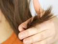 Split ends मुळे हैराण आहात?; हे घरगुती मास्क ट्राय करा  - Marathi News | Home remedies to remove and prevent spilt ends | Latest beauty News at Lokmat.com