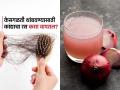 ऐन तारुण्यात केस खूप गळतात, पांढरेही व्हायला लागले? कांद्याच्या रसाचा ‘असा’ उपयोग, केसांसाठी वरदान - Marathi News | Apply these 2 things mixed with onion juice to stop hairfall and see the magic | Latest sakhi News at Lokmat.com