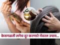 केसगळती-कोंडा या समस्या लगेच होतील दूर; फक्त खोबऱ्याच्या तेलात 'या' गोष्टी मिसळून लावा - Marathi News | Homemade organic hair oil making process to stop hair loss, itchy scalp, dandruff | Latest sakhi News at Lokmat.com