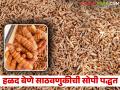हळदीचे बेणे अधिक काळ टिकण्यासाठी साठवणूकीत करा हे सोपे उपाय; वाचा सविस्तर - Marathi News | This is a simple way to store turmeric rhizomes to make them last longer; read in details | Latest agriculture News at Lokmat.com