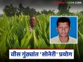 Farmer Success Story :'सोनेरी' शेतीचा फॉर्म्युला; कमी खर्चात तरुणाची मोठी कमाई वाचा सविस्तर - Marathi News | latest news Farmer Success Story: 'Golden' farming formula; Young man earns big money at low cost Read in detail | Latest agriculture News at Lokmat.com
