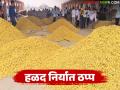 Halad Export : दुबईला जाणारी हळद थांबली! दर २,५०० रुपयांनी कोसळले, वाचा कारण - Marathi News | latest news Halad Export: Turmeric going to Dubai stopped! Price fell by Rs 2,500, read the reason | Latest agriculture News at Lokmat.com