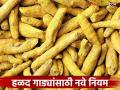 Halad Market : हळद बाजारात नवे नियम; कामकाज होणार शिस्तबद्ध वाचा सविस्तर - Marathi News | | Latest agriculture News at Lokmat.com