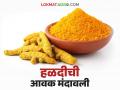 Turmeric Market : मार्केट यार्डात हळदीची आवक घटली; हा मिळतोय दर ते वाचा सविस्तर - Marathi News | Turmeric Market : Prices of turmeric in the market yard decreased; Read this rate in detail | Latest agriculture News at Lokmat.com