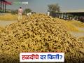 Halad Market Update: हळदीच्या दरात 'या' कारणाने झाली घसरण वाचा सविस्तर - Marathi News | Halad Market Update: latest news Halad prices have fallen due to 'this' reason, read in detail | Latest agriculture News at Lokmat.com
