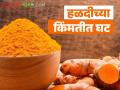 Halad Market : मागील आठवड्यात हळदीच्या किंमतीत 'इतक्या' रुपयांची घट, वाचा सविस्तर   - Marathi News | Latest News Halad Market Turmeric prices down this week compared to last week | Latest agriculture News at Lokmat.com