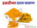 Turmeric Market : हळदीची आवक वाढल्याने दरात घट  - Marathi News | Turmeric Market: Prices decrease due to increased arrival of turmeric  | Latest agriculture News at Lokmat.com