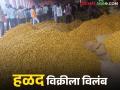 Halad Market : मार्केट यार्डात व्यापाऱ्यांच्याच थप्या; शेतकरी मात्र रांगेतच वाचा सविस्तर - Marathi News | latest news Halad Market: Traders applaud in the market yard; Farmers, however, stand in line. Read in detail | Latest agriculture News at Lokmat.com