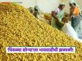Halad Market : काळवंडलेल्या 'पिवळ्या सोन्या'ला भाववाढीची झळाळी; कसा मिळतोय दर वाचा सविस्तर - Marathi News | latest news Halad Market : The price of blackened 'Halad' is on the rise; Read in detail how it is getting its price | Latest agriculture News at Lokmat.com