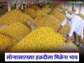 Halad Market : सोन्यासारख्या हळदीला भाव नाही; युद्धामुळे बाजारात मंदी - Marathi News | latest news Halad Market: Halad like gold has no value; Market slowdown due to war | Latest agriculture News at Lokmat.com
