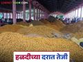 Turmeric Market: हळदीच्या दरात आली तेजी; असे वधारले दर वाचा सविस्तर - Marathi News | Turmeric Market: Turmeric prices have increased; Read the details of the increase in prices | Latest agriculture News at Lokmat.com