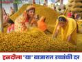 Turmeric Market: विदर्भातील शेतकऱ्यांची हळद विक्रीला 'या' बाजारात पसंती; कसा मिळाला दर ते वाचा सविस्तर - Marathi News | Turmeric Market: Farmers from Vidarbha prefer to sell turmeric in this market; Read in detail how the price was obtained | Latest agriculture News at Lokmat.com