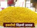 Halad Market : हळदीच्या बाजारात मोठा ट्विस्ट; एका दिवसात शेतकऱ्यांचे गणित बिघडले - Marathi News | latest news Halad Market: Big twist in the turmeric market; Farmers' calculations went wrong in one day | Latest agriculture News at Lokmat.com