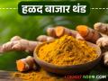 Halad Market : बाजारात हळदीला उतरती कळा; कसा मिळतोय दर वाचा सविस्तर - Marathi News | latest news Halad Market: Halad prices are falling in the market; Read in detail how to get the price | Latest agriculture News at Lokmat.com