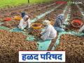 Market Yard : रिसोड बाजार समितीत 'हळद परिषद'चे आयोजन - Marathi News | Market Yard: latest news 'Halal Parishad' organized at Risod Market Committee | Latest agriculture News at Lokmat.com