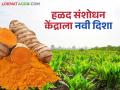Turmeric Research Center : हिंगोलीत हळद संशोधनाला चालना; दूध उत्पादनासाठीही काटेकोर योजना वाचा सविस्तर - Marathi News | latest news Turmeric Research Center: Turmeric research promoted in Hingoli; Strict plan for milk production also read in detail | Latest agriculture News at Lokmat.com