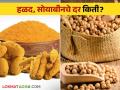 घसरलेली हळद पाचशे तर सोयाबीन तीनशेंनी वधारले; नक्की काय भाव मिळाला वाचा सविस्तर - Marathi News | Turmeric, which fell, increased by five hundred and soybeans by three hundred; Read the exact price in detail | Latest agriculture News at Lokmat.com