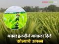 Farmer Success Story : अबब! हळदीने गावाला दिले ५ कोटींचे ‘सोन्याचे’ उत्पन्न वाचा सविस्तर यशकथा - Marathi News | latest news Farmer Success Story : Wow! Turmeric gave the village a 'golden' income of 5 crores Read in detail | Latest agriculture News at Lokmat.com
