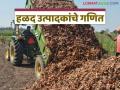Halad Lagvad : हळद लागवडीचा एकरी खर्च किती रुपये होतो अन् हातात उरतात किती? - Marathi News | Latest News Halad Lagvad cost and yield per acre of turmeric cultivation see details | Latest agriculture News at Lokmat.com