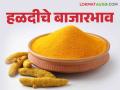 Halad Market : हळदीच्या दरात क्विंटलमागे चढ-उतार सुरु ; कसा मिळतोय दर ते वाचा सविस्तर - Marathi News | Halad Market : Turmeric price fluctuates per quintal; How to get rates read in detail | Latest agriculture News at Lokmat.com