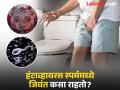 आजारातून बरे झाल्यावरही हंटाव्हायरस पुरूषांच्या स्पर्ममध्ये ६ वर्ष जिवंत राहतो, रिसर्चमधून खुलासा - Marathi News | Hantavirus can live 6 years in human sperm study reveals, know it happen | Latest health News at Lokmat.com