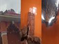 वीज कोसळून हनुमान मंदिराचे छत कोसळले; मूर्तीवर ओरखडाही नाही - Marathi News | Roof of Hanuman temple collapsed due to lightning; no scratch on the idol | Latest maharashtra News at Lokmat.com