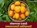 यंदाही कोकणच्या राजाची अमेरिकावारी लासलगावमार्गे, तब्बल 28 टन आंबे रवाना - Marathi News | latest News 28 tons of mangoes left for America from Lasalgaon | Latest agriculture News at Lokmat.com