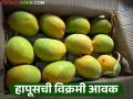 अक्षय तृतीयेच्या मुहूर्तावर आंब्याची विक्रमी आवक; कोणत्या आंब्याला किती दर? - Marathi News | Record arrival of mangoes on the occasion of Akshaya Tritiya; What is the price of which mango? | Latest agriculture News at Lokmat.com