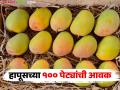 Hapus Market : कोकणातून १०० पेट्या हापूस आंब्याची आवक; वाचा डझनाला काय मिळाला दर? - Marathi News | Hapus Market : 100 boxes of Hapus mangoes arrived from Konkan; Read what was the price per dozen? | Latest agriculture News at Lokmat.com