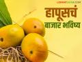 Hapus Mango Market : हापूसची सर्वाधिक आवक १ एप्रिल नंतरच; यंदा हापूस चांगलाच भाव खाणार? - Marathi News | Hapus Mango Market : Maximum arrival of Hapus only after April 1; Will Hapus fetch good prices this year? | Latest agriculture News at Lokmat.com